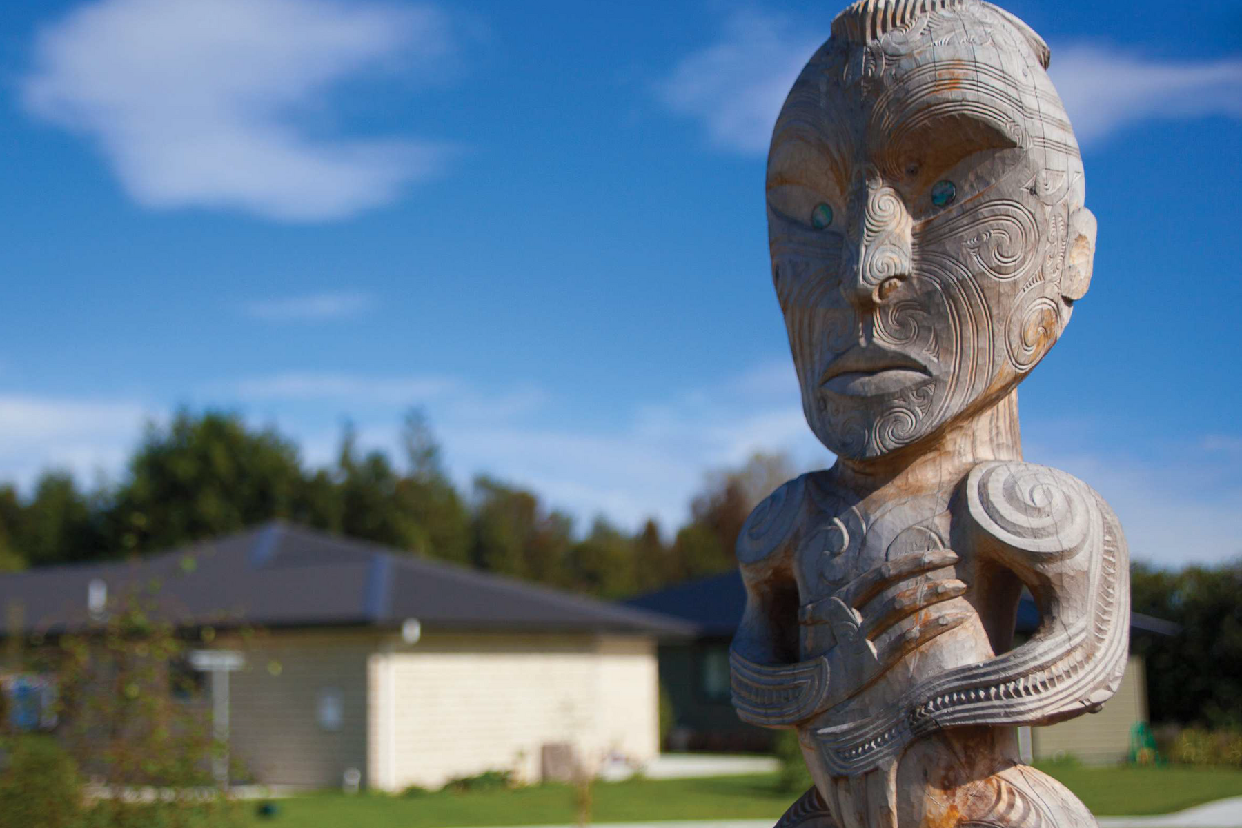 TPK image 2024 04 17 003517 jgvb