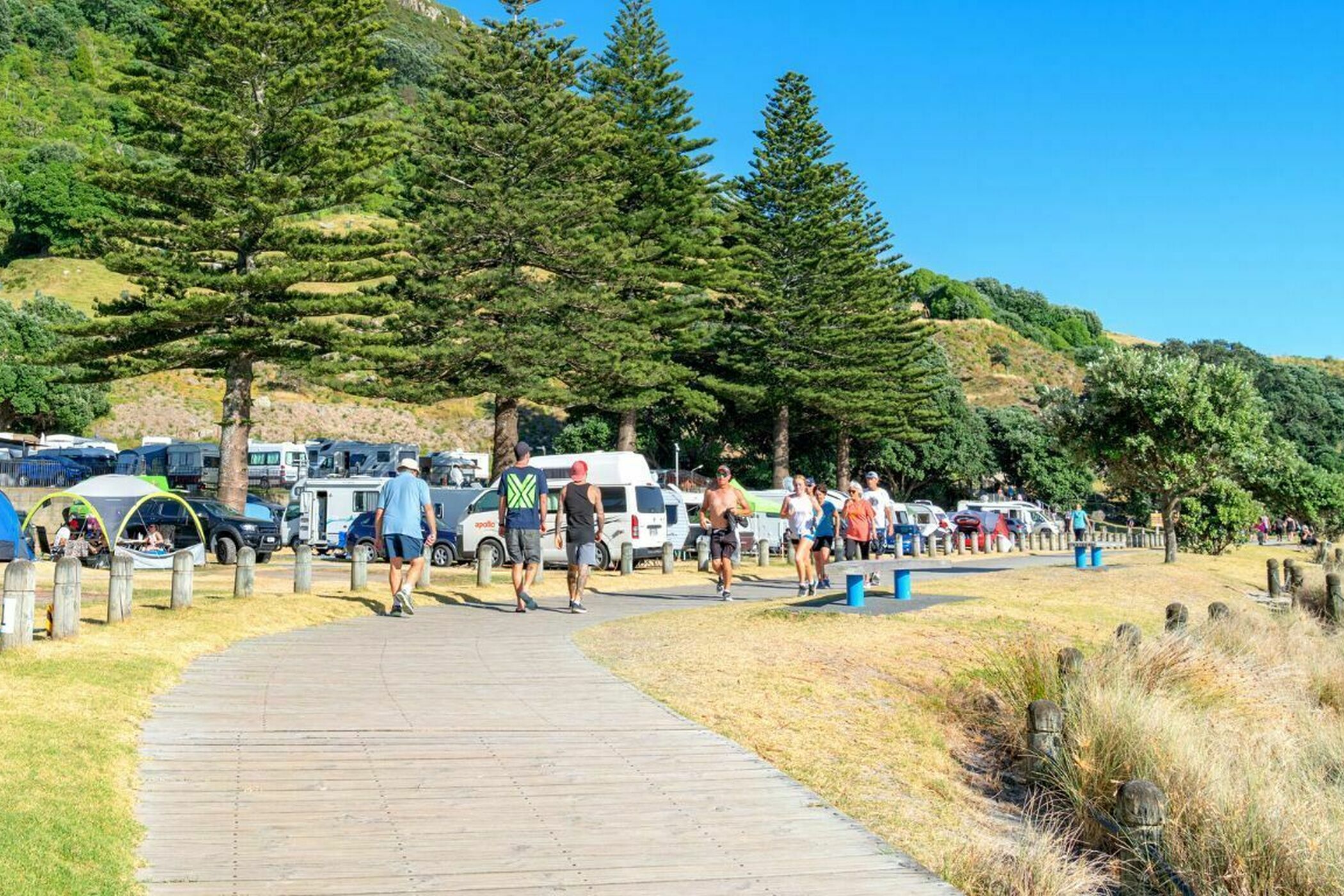 Tiny house big impact a familys guide to surviving the holidays