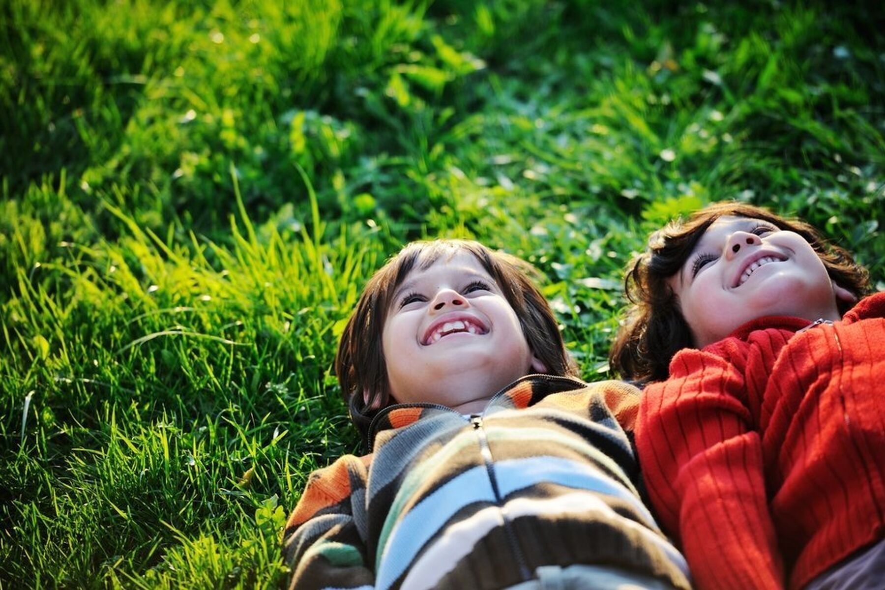 Happy kid enjoying sunny late summer and autumn day in nature on green grass